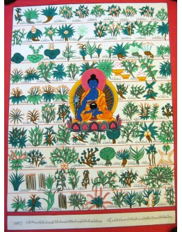 Medicine Plant Thangka painting 