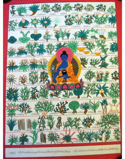 Medicine Plant Thangka painting 